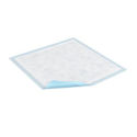 Picture of Tena Regular Underpads